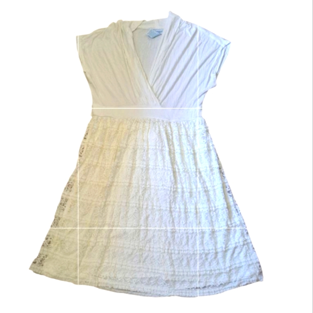 The Paragon Lace Skirt Dress